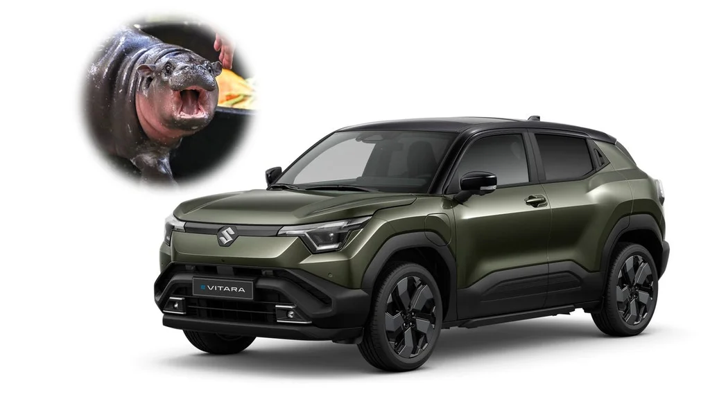 Suzuki E Vitara: Nový elektrický crossover