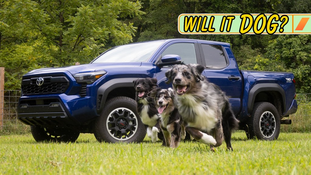 2024 Toyota Tacoma: Ideální pro psí převoz?