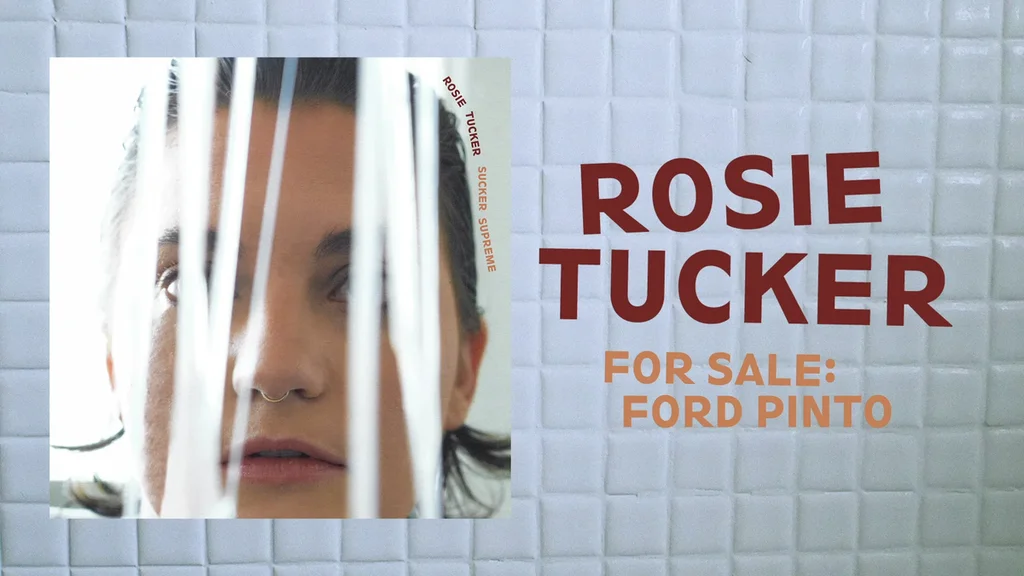 Na prodej: Ford Pinto od Rosie Tucker