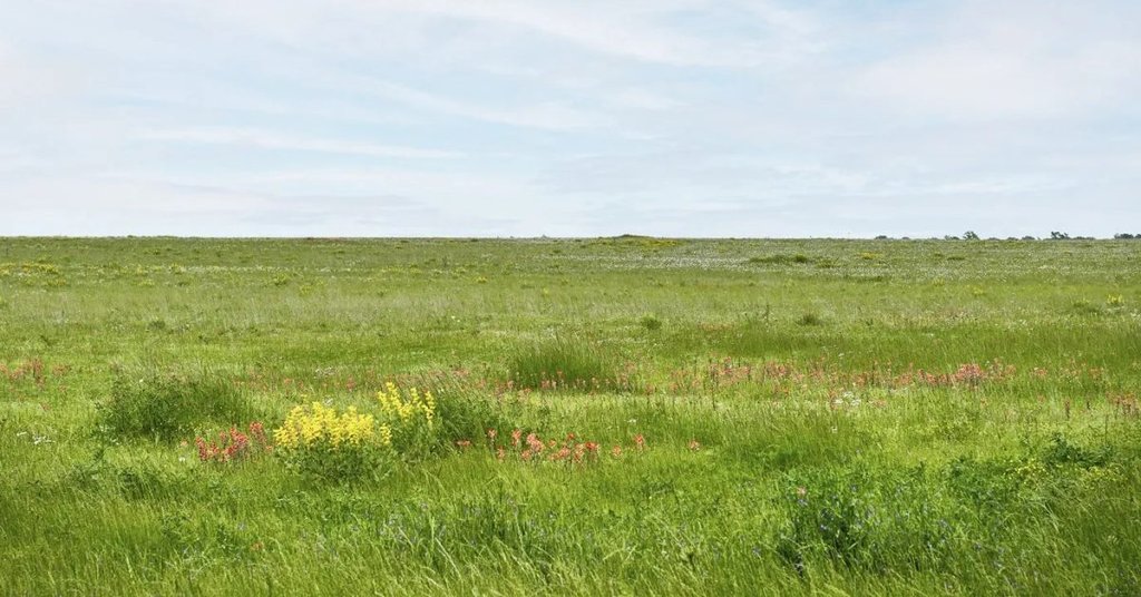Ørsted'in Texas'taki Güneş Enerjisi Merkezi Faaliyette