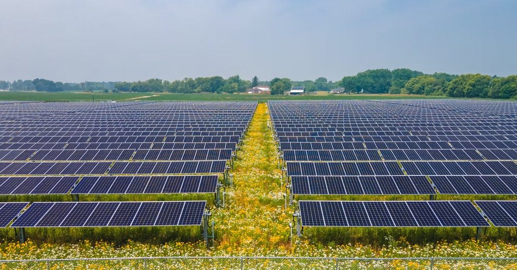 Walmart ve Nexamp 31 Güneş Enerjisi Santrali Kuruyor