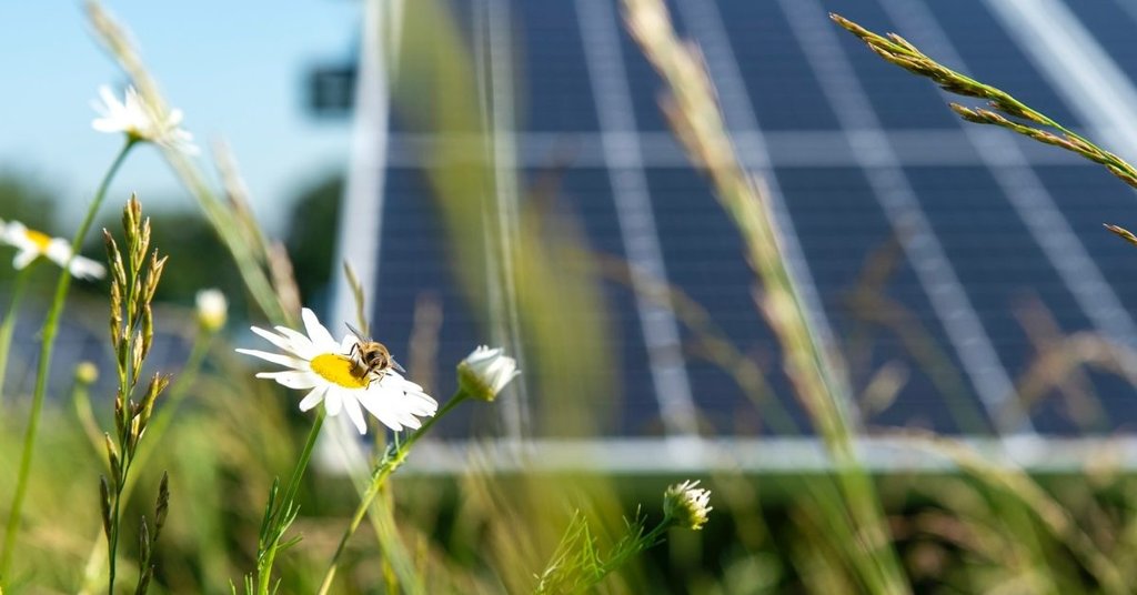 Cambridge'ten En Büyük Güneş Enerjisi Anlaşması