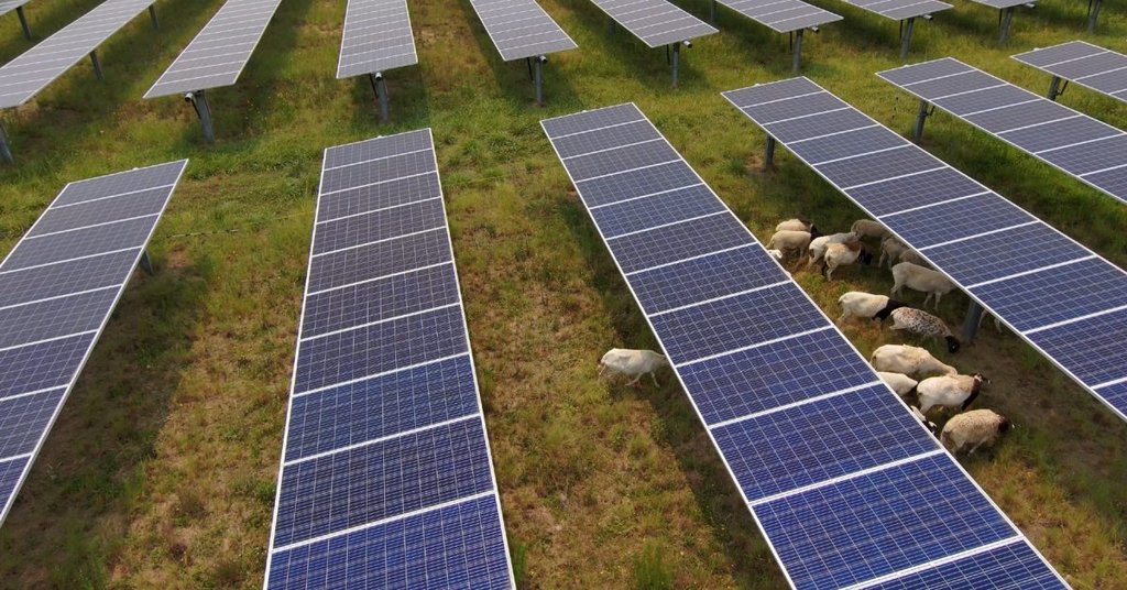 Yenilenebilir Enerji ABD'de Doğal Gazı Geçecek