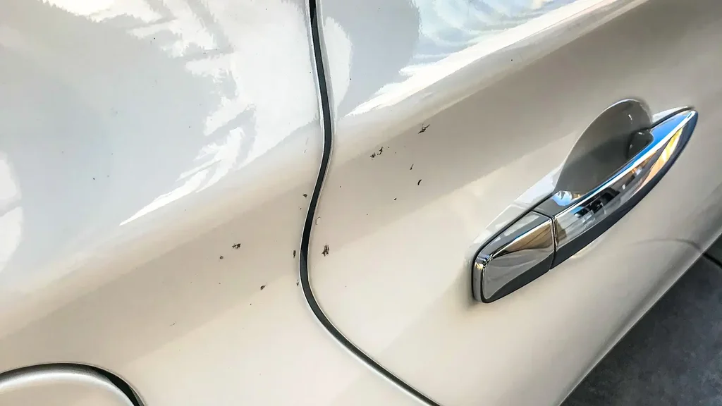 Daş çyzgylaryny düzetmek we öňüni almak