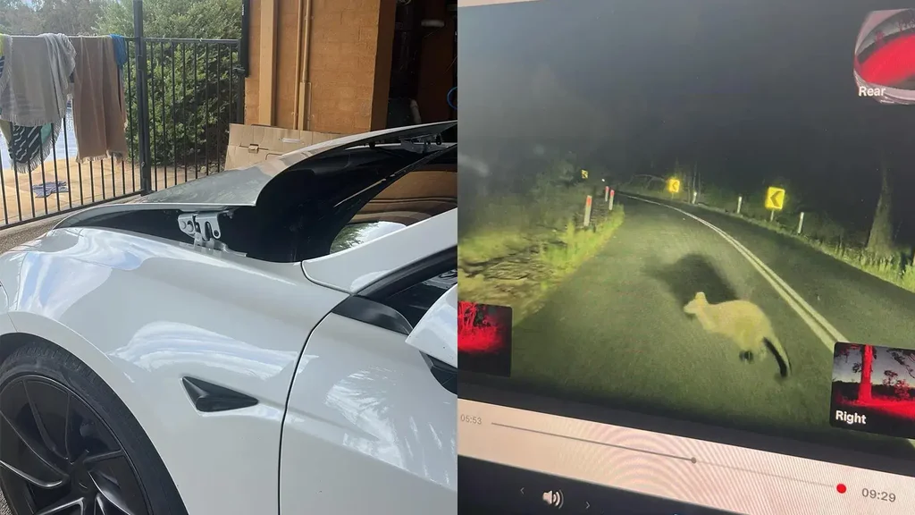 Tesla'nın Aktiw Gap Ulgamy we Çykdajy Problemleri