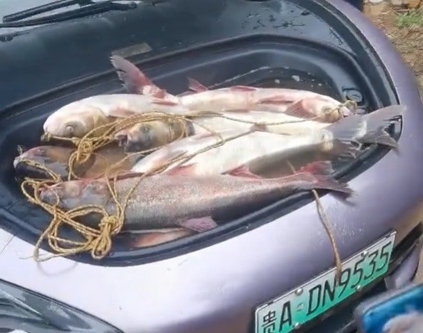 Xiaomi SU7 bilen Balyk Rejimi