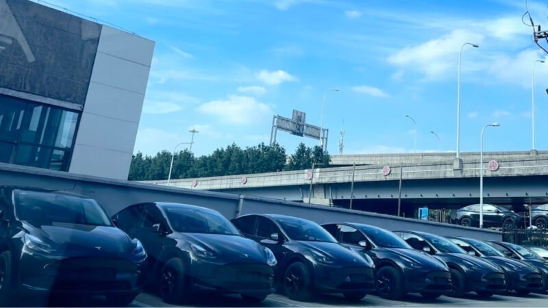 Tesla Model Y 2024 жылы Қытайда сатылымда алда